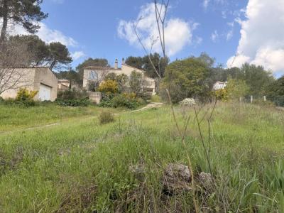 Annonce Vente Terrain Ventabren 13