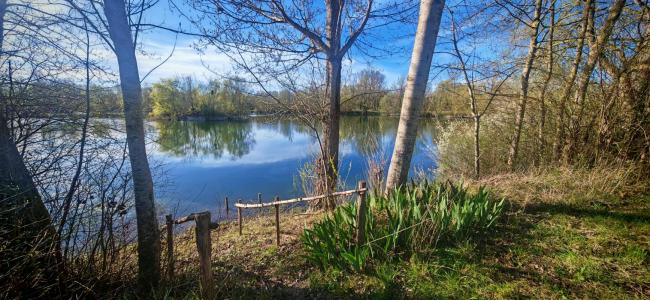 For sale Bucheres 32767 m2 Aube (10800) photo 0