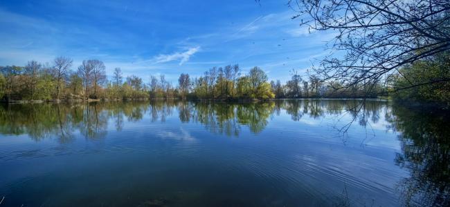 Annonce Vente Terrain Bucheres 10