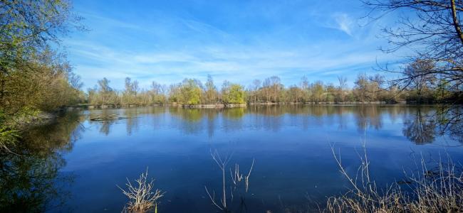 Acheter Terrain Bucheres 263000 euros