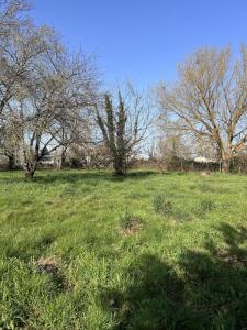 For sale Saint-medard-de-guizieres 1112 m2 Gironde (33230) photo 0