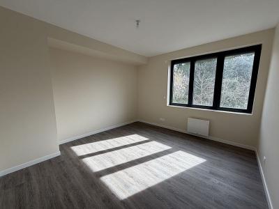 Annonce Location 3 pi�ces Appartement Boen 42