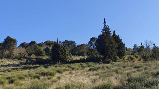 Annonce Vente Terrain Limoux 11