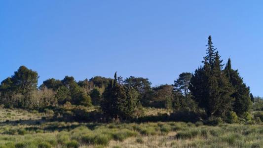 Acheter Terrain 2966 m2 Limoux