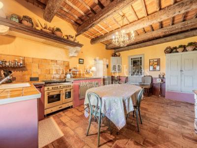 Acheter Maison Uzes 1295000 euros