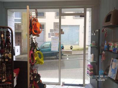 Annonce Vente Commerce Chateauneuf-du-faou 29