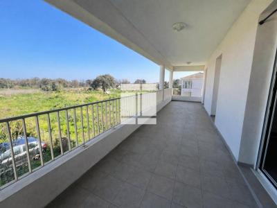 Annonce Vente 3 pi�ces Appartement Sorbo-ocagnano 20