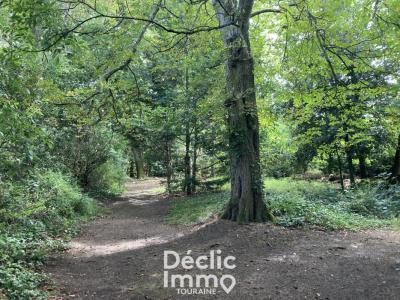 Annonce Vente 7 pi�ces Maison Descartes 37