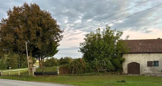 Acheter Maison 353 m2 Hadol