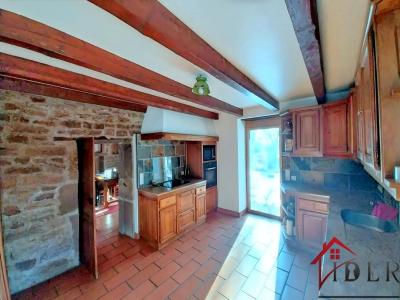 Acheter Maison 215 m2 Esboz-brest