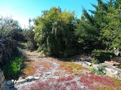 Acheter Maison 34 m2 Concots