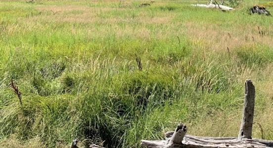 For sale Taillan-medoc 450 m2 Gironde (33320) photo 0