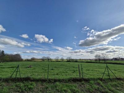 Louer Maison Aigrefeuille-sur-maine Loire atlantique