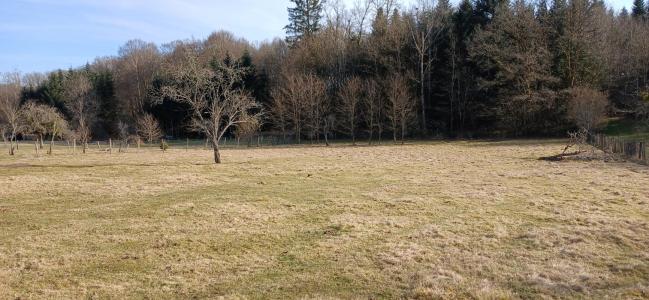 Annonce Vente 6 pi�ces Maison Montessaux 70