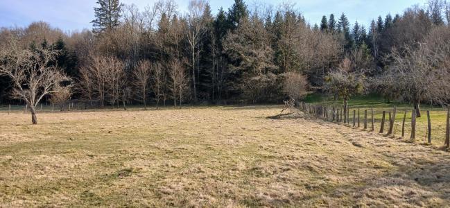 Acheter Maison 140 m2 Montessaux