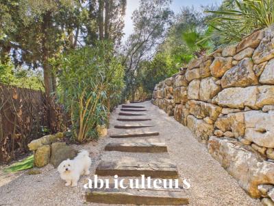 Acheter Maison 313 m2 Cannet