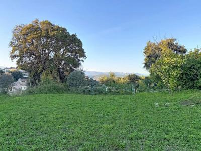 Annonce Vente 4 pi�ces Maison Antibes 06