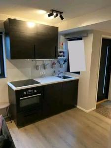 For rent Saint-leon 1 room 84 m2 Haute garonne (31560) photo 2