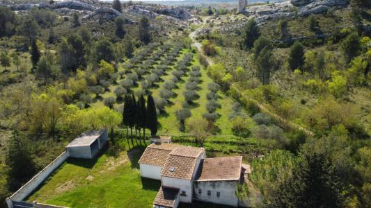 Acheter Prestige Paradou 555000 euros