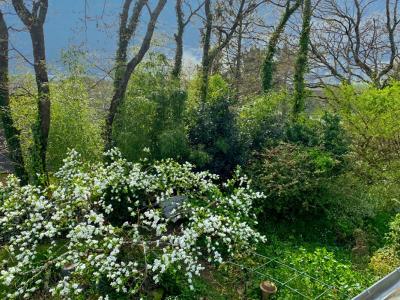 Annonce Vente 6 pi�ces Maison Saint-ave 56