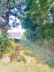 Acheter Terrain 1001 m2 Sarzeau