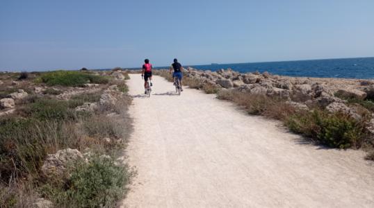 Acheter Maison 85 m2 Sausset-les-pins