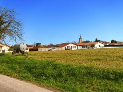 Annonce Vente Terrain Labastide-villefranche 64