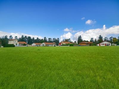 Acheter Terrain Labastide-villefranche Pyrenees atlantiques