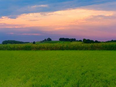 Acheter Terrain Labastide-villefranche 160000 euros