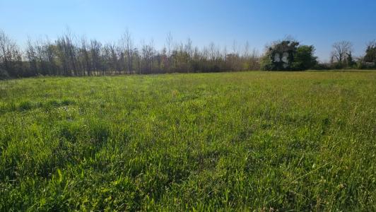 For sale Lafox 982 m2 Lot et garonne (47240) photo 0