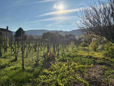 Annonce Vente Terrain Cornas 07