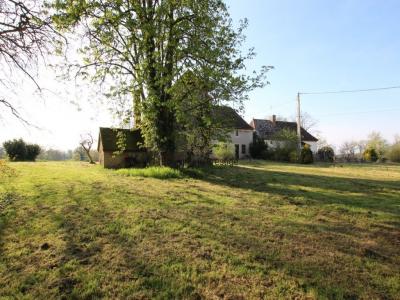 Annonce Vente Prestige Tournus 71