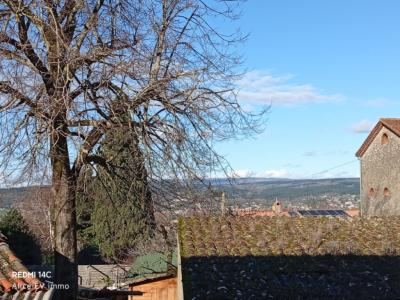 For sale Aiguefonde 6 rooms 115 m2 Tarn (81200) photo 0