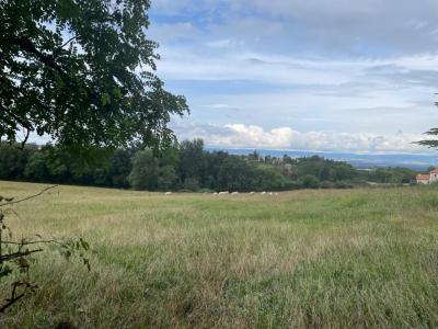 For sale Saint-just-saint-rambert 600 m2 Loire (42170) photo 0