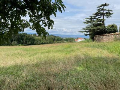 Annonce Vente Terrain Saint-just-saint-rambert 42