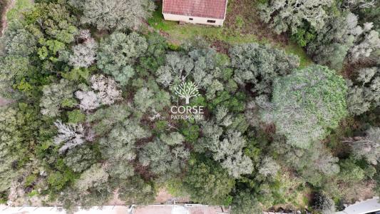 Annonce Vente Terrain Sotta 20