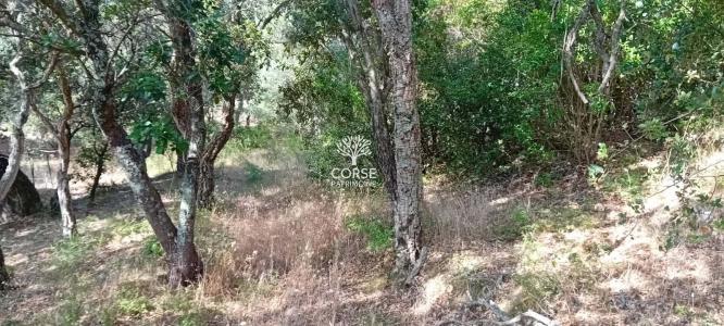 Acheter Terrain 1280 m2 Sotta