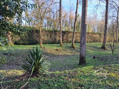 Acheter Terrain 1589 m2 Macquigny