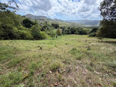 For sale Vauclin 7500 m2 Martinique (97280) photo 0