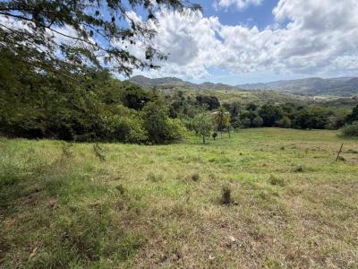 Acheter Terrain 7500 m2 Vauclin