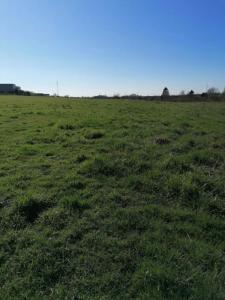 Annonce Vente Terrain Bohain-en-vermandois 02