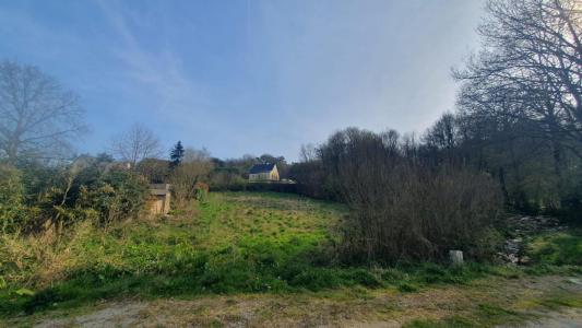 Annonce Vente Terrain Larre 56