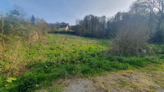 Acheter Terrain Larre Morbihan