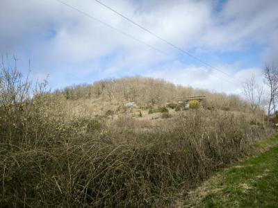 Annonce Vente Prestige Mirepoix 09