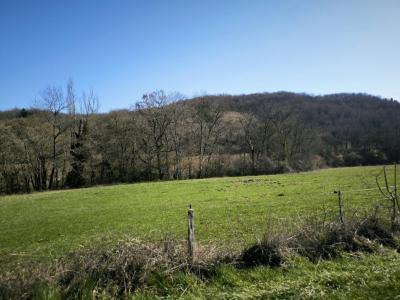 Acheter Prestige Mirepoix Ariege