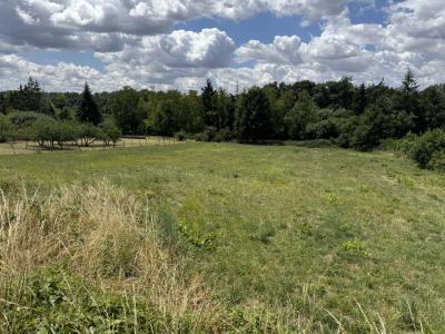 Annonce Vente Terrain  18