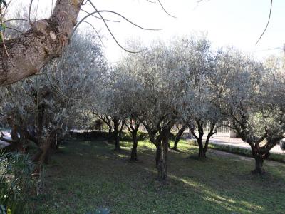 For sale Bedarrides 8 rooms 210 m2 Vaucluse (84370) photo 1