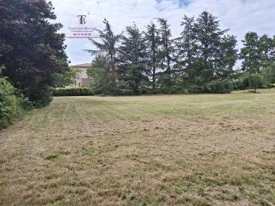 For sale Marcy-l'etoile 778 m2 Rhone (69280) photo 2