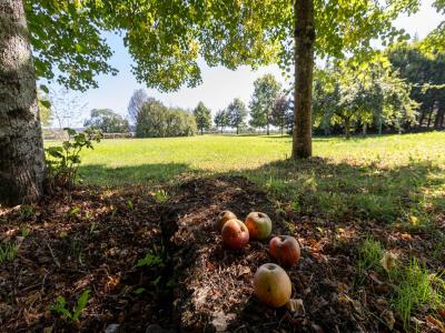 Acheter Prestige Fied 660000 euros