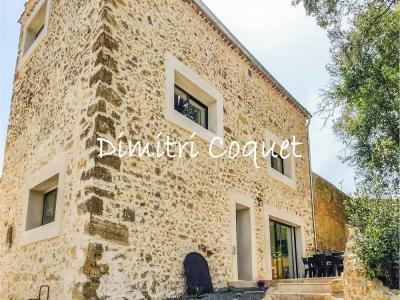 Acheter Maison 415 m2 Montpellier